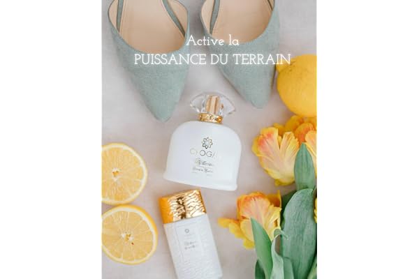 Active la puissance du terrain: La puissance du terrain
