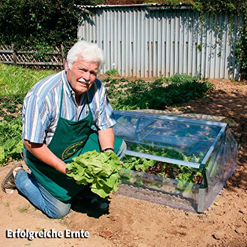 Frühbeet Silver Line - 5