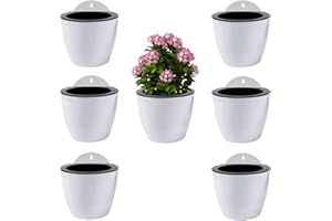 ShoppeWatch Macetas Colgantes con Riego Automatico 7 Unidades | Pared Maceteros Decorativas Interior | Jardineras Exterior Balcon Grande de 18,5 cm con Ganchos