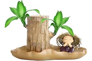 GALEYYU Brazil Lucky Wood, 2024 New Best Magi-Cal Sprouting Lucky Bam-Boo Wood, Hydroponic Potted Stump Plant, Indoor Offices Desktop Plant for Bring Good Luck and Purify The Air (Wood+Monk)