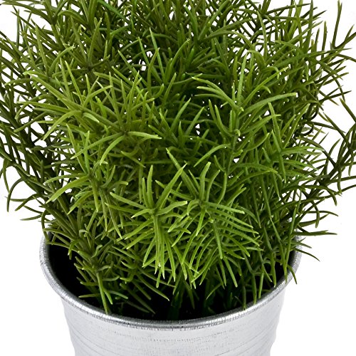 Pflanze Gras im Topf Kunstblume 16x14x6cm grün Kunstpflanze - 3