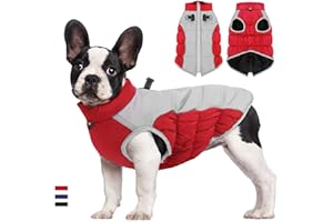Yoolhamy Cappotto Cane Impermeabile Invernale Caldo Cani Giacche con Fori Imbracatura e Riflettente Taglia Piccola Media Grande Pet Cappotti Outdoor Sport