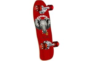 Powell Peralta Mini Cruiser Complete Skateboards