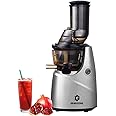 GearZone Silver Masticating Juicer Cold Pressed Juicers, High Juice Yield for Fruits