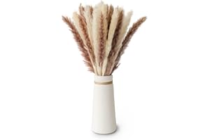 flature Pampasgras Gemischt mit Vase - 30 Stiele Trockenblumen mit Keramik Vase Weiß Matt als Frühlingsdeko, Getrocknete Blumen für Wohnzimmer, Hochzeit, Gesteck, Kranz, Tischdeko