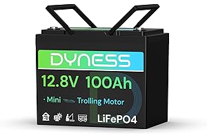 Dyness Batteria LiFePO4 12V 100Ah, Mini Batteria al Litio con BMS 100A, Protezione a Basse Temperature, per Nautica, Camper, Impianti Solari off-grid, Fotovoltaico Accumulo