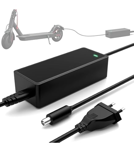 Chargeur GO SOLID! Pour Trottinette Zwheel T4 ZRino Et ZCougar T8
