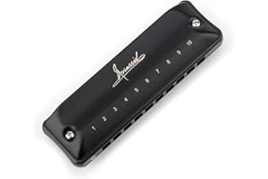 Blues JDR C Mundharmonika Tonart C 10 Löcher 20 Töne Mini-Mundharmonika mit Koffer für Erwachsene und Kinder | Assassin