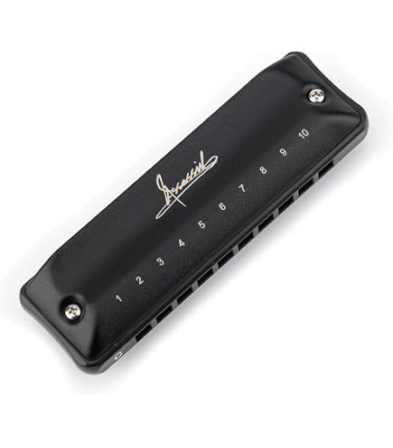 Conjurer Chromatische Mundharmonika In C-Dur – 12-Loch, 48 Töne, Mit Schieber, Für Anfänger & Profis