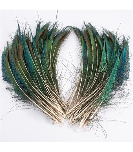 15 Plumes De Paon Naturelles - 25-30 Cm, Idéales Pour DIY, Mariage, Déco Et Costumes
