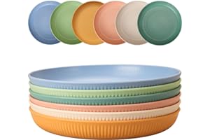 CSYY 6 szt. niezniszczalnych talerzy obiadowych, plastikowe głębokie talerze kempingowe, 25 cm talerze piknikowe na sałatkę, makaron, imprezę, do domu, biura, kuchenki mikrofalowej i zmywarki