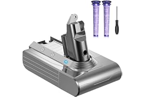 DTK Batterie pour Dyson V6 Batterie Compatible avec Dyson V6 Animal/Absolute/Fluffy/Motorhead SV03 SV04 SV05 SV06 SV07 SV09 DC58 DC59 DC61 DC62 DC72 DC74 avec 2 Filtres
