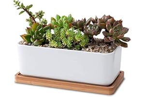 LATRAT Juego de maceta rectangular blanca de cerámica para plantas suculentas y cactus con posavasos de bambú – Decorativa pequeña maceta de flores