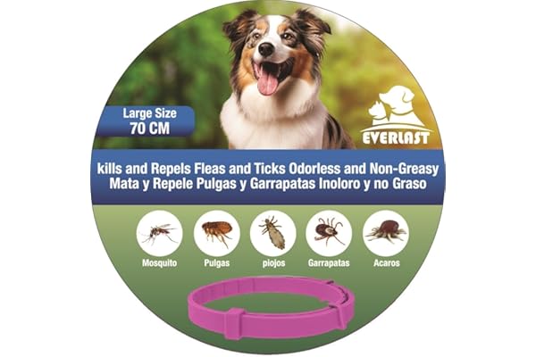 Tempotech ® Collier antiparasitaire Chien et Chat - 8 Mois de Protection - Contre Les puces, tiques, moustiques, acariens et poux - Collier Vermifuge (1 unité Rose)