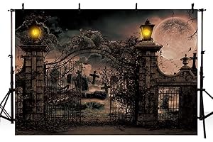 AIBIIN Fondo de fotografía de Halloween de 8 x 6 pies, cementerio aterrador, terror, desolado, puerta de cementerio, puerta de hierro oxidado, día de todos los santos, luna llena, familia, vacaciones,