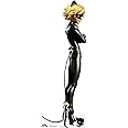 Star Cutouts SC4042 Cat Noir Cardboard Cut Out - Miraculous: Tales of Ladybug & Cat Noir Height 152cm