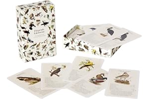 QianShouYan Eulberg Flying Gemstones - A Bird Quartet by Dominik