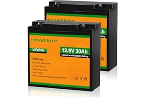 ECO-WORTHY 2-Pack 30AH LiFePO4 Leisure Battery with 4000-15000 Cycles & BMS Protection,Ideal for Trolling Motors, Wheelchairs, Scooters,RV