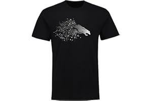 Fanatics - Camiseta NFL Denver Broncos Shatter Graphic – Negro, Negro