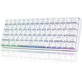 Dierya DK63 Clavier Gamer sans Fil 60%,Clavier Gaming Mecanique avec Bluetooth/2.4Ghz/USB-C,63 Touches Anti-Ghosting Interrup