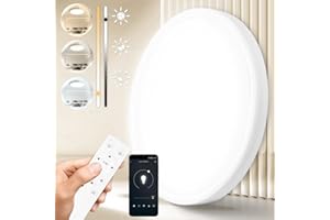 CHENBEN LED Ceiling Lights 24W 2520LM Dimmable Ceiling Light with Remote Control 3000K-6500K, 0.9Inch Flush Mount Ceiling Light White Ceiling Lamp for Kitchen Living Room Bedroom Office Bathroom