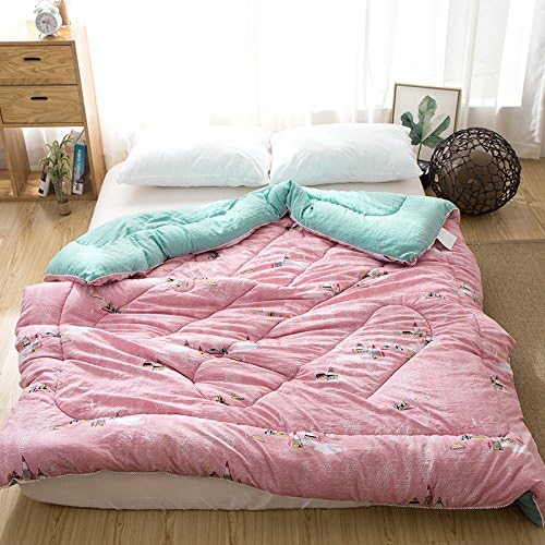 Autumn and Winter Thick Core Students Single Was Washable,E,200x230cm