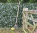 Produktbild Sichtschutz aus PVC, Efeuhecke - 1,5m x 3m - Papillon™