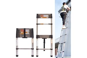 BRIEFNESS Verlängerungsleiter, Mehrzweck-Teleskopleiter, 2,6 m, zusammenklappbare Teleskopleiter, 9 Stufen, Edelstahl, für Zuhause, Büro, Innen- und Außenbereich, Dachboden, Wohnmobil, 150 kg Kapazität