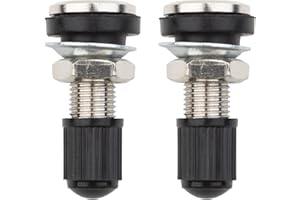 FanPaYY 2 pièces Voiture Moto Pneu Valve Tubeless Potence en métal avec Capuchon Anti-poussière