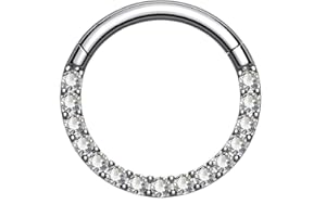 OUFER Piercing per setto G23 Solido Titanio Daith Orecchino Cerchio Trago Helix Anelli 16G A Cerniere Segmento Cerchio Chiaro CZ Paved Cartilagine Orecchino