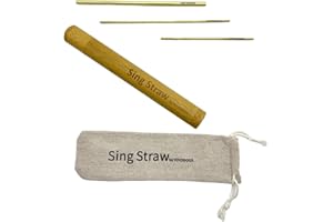 YOYODOGS Sing Straw for Vocal Training and Healing Aid Tool,Vocal Straw Voice Trainer Metal Therapy Tool for Singing Exercises and SpeechTherapy(Vocal Straw-B)