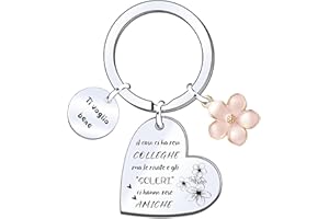 POIUYTRE Regali Natale 2025 Offerte Regalo Colleghe Colleghe per caso Amiche per scelta Portachiavi per Collega Amici Regalo di Ringraziamento per Colleghi e Amici Regalo Colleghi Compleanno