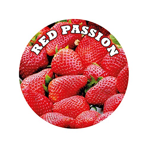 Massageöl ESSBAR Erdbeere 250ml Massageliquid WÄRMEND und Feuchtigkeitsspendend - 2