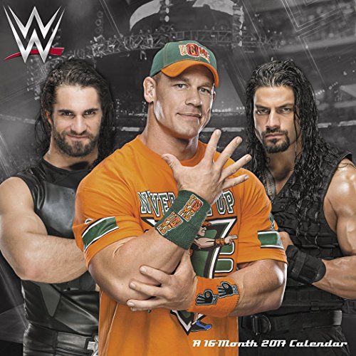 Preisvergleich Produktbild WWE Mini Wall Calendar (2017)
