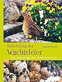 Heilwirkung der Wachteleier: Die Heilerfolge des Uzejir Imsirovic by Siegrid Hirsch