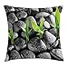 Produktbild HAVER Plant Throw Pillow Cushion Cover, Basalt Stones with Bamboo Leaves Sticking Water Droplets Harmony of Nature, Decorative Square Accent Pillow Case, 18 X 18 Inches, Dark Taupe Lime Green