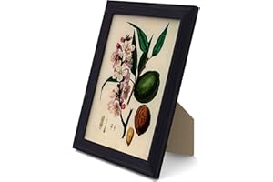 MH Traders Black A5 Picture Frame - Freestanding and Wall Mounted Photo Frame for Pictures Posters & Certificates - 15 x 21 CM A5 Size Compact Picture Frames