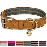 Blueberry Pet Klassisches Gestreiftes Basis Echtleder...