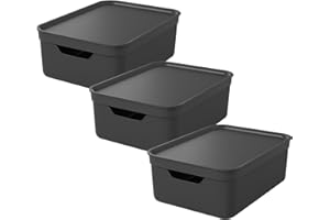Rotho Jive 3er-Set Aufbewahrungsbox 10l mit Deckel, Kunststoff, anthrazit