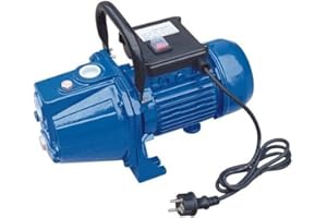 DIPRA Spido 2040 Pompe D'Arrosage Ecop 160, 900W-3600L/H, 4,2Bars, Corps Fonte, Bleu