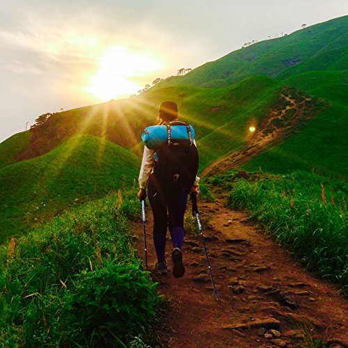 Songmics Nordic Walking Stöcke Verstellbar 65 – 135 cm ergonomisch mit Anti-Shock Dämpfungssystem - 3