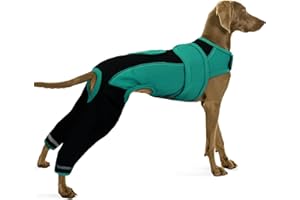 PUMYPOREITY Body Post Operatoire Chien, Body après Chirurgie Vêtement de Chirurgie Chien Manchon Récupération pour Pattes Arrière(Vert, L)