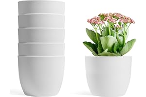 T4U 12CM Self Watering Planters Plastic White Set of 6, Modern Round Flower Pot Indoor Nursery Bonsai Plant Pot for Garden House Plants, Aloe, Herbs and More