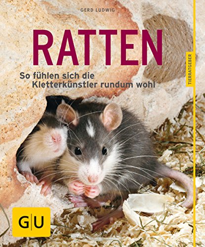 Download Ratten: So fühlen sich die Kletterkünstler rundum wohl (GU Tierratgeber) Download Ratten: So fühlen sich die Kletterkünstler rundum wohl (GU Tierratgeber)