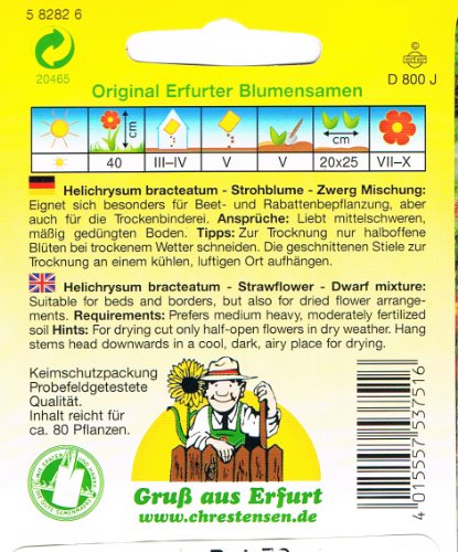 Strohblumen Zwerg Mischung Helichrysum bracteatum Trockenblume - 2