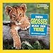 National Geographic KiDs (Sachbuch) - Mein großes Buch der Tiere by 