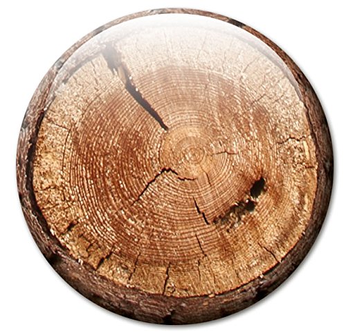 Baumstämme – Stämmige Design Metall Magnettafel 40×30 cm – Pinnwand Memoboard mit Motiv: Baumstämme – inkl. 4 Magnete mit Motiven in Baumstammscheibenoptik für Magnetwand – Original Magnetpinnwand GUMA Magneticum - 5