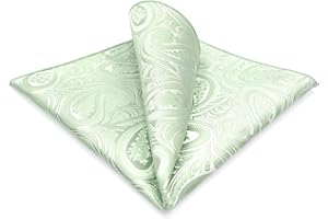S&W SHLAX&WING Fazzoletto da Taschino Uomo Paisley Taglia XL Grande per Matrimoni e Feste