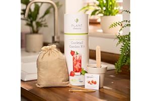 Plant Theory Grow Your Own Kit Gift Set & Vegan Compost 5 Biodegradable Pots & 100% Plastic Free 28cm (Cocktail Kit)