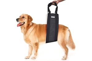 Dog Lift Harness for Back Legs, Petslucent Dog Sling for Large Dogs Hind Rear Leg Support Stair Lifting, for Old K9 ACL Canine Aid, Injured, Disabled Small Medium & Large Breeds (Black-L)